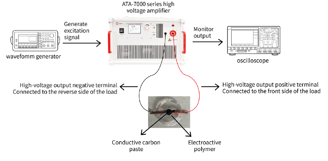 図4:誘電エラストマーのアクチュエーション実験の構成(波形発生器、ATA-7000シリーズ高電圧アンプ、オシロスコープ。高電圧出力の負極を負荷の裏面に、正極を負荷の表面に接続。負荷は導電性カーボンペーストを塗布した電場応答性ポリマー)