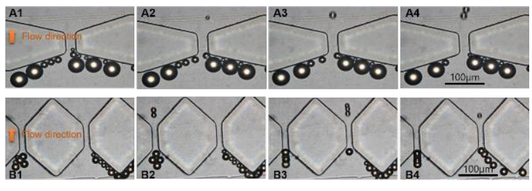 図3:粒子分離実験の結果