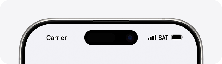 iPhoneのステータスバーに「SAT」と表示され、衛星接続の使用が示されています。