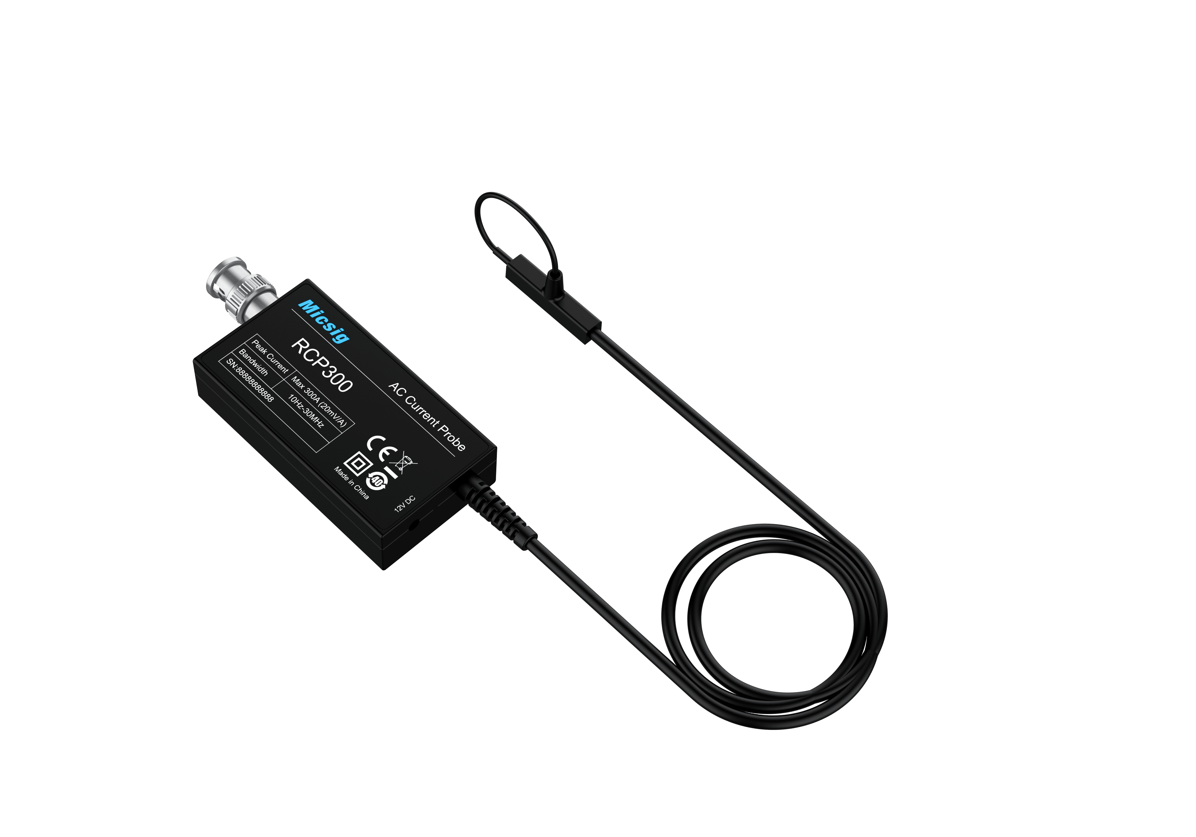 RCP300.2_1